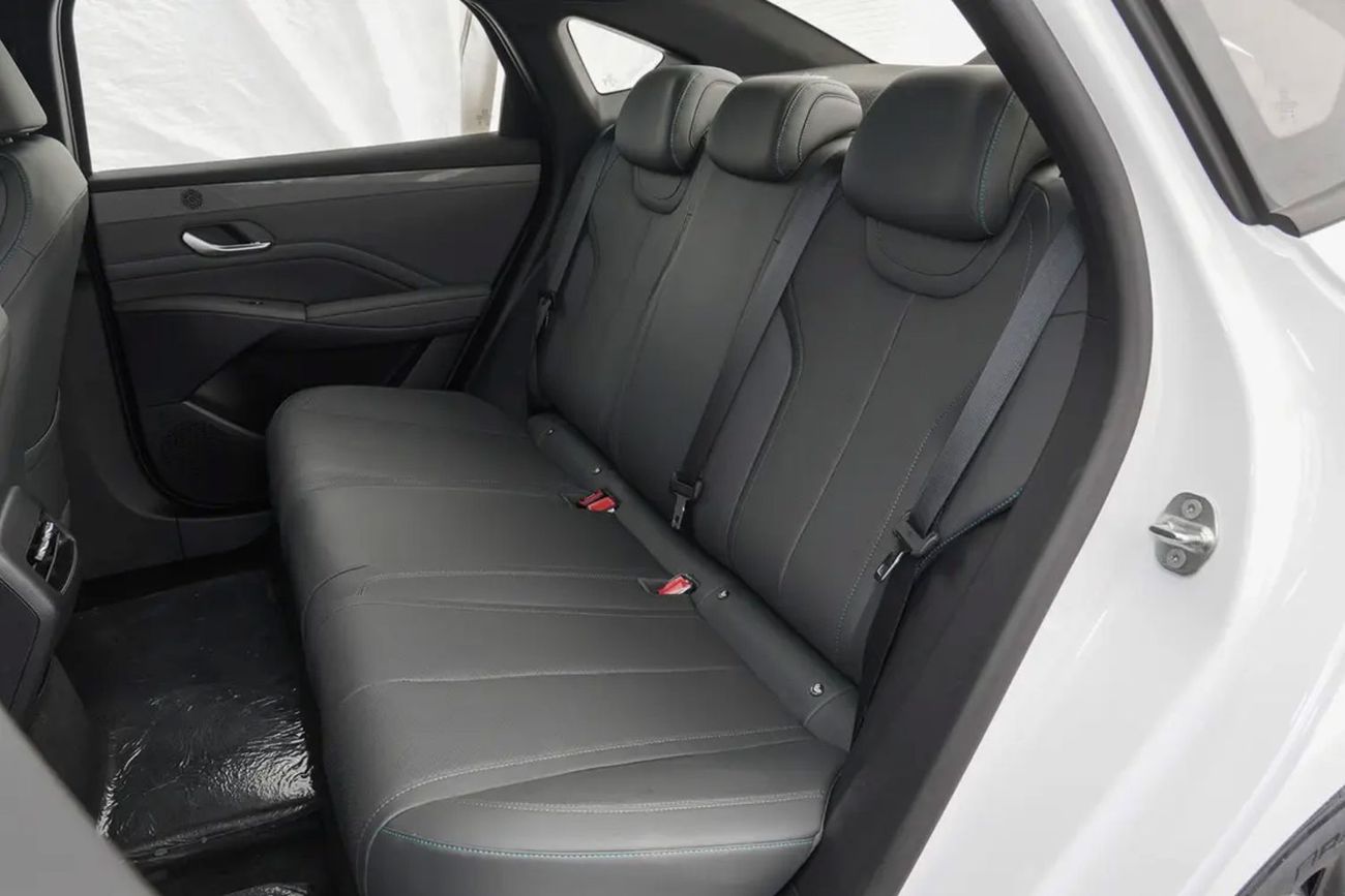 بي واي دي كين بلاس BYD Qin PLUS DM-i 55KM الطراز الرائد