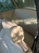 بي أم دبليو 2002