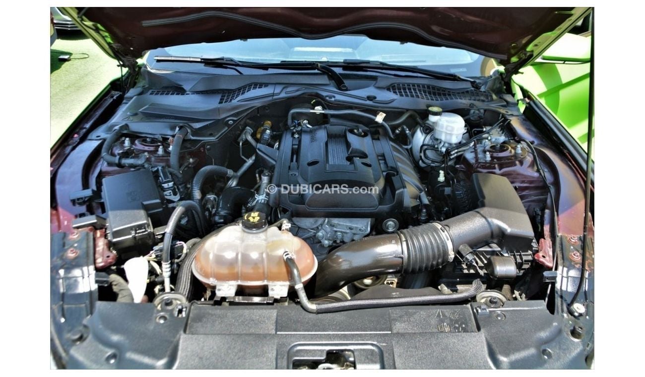 Ford Mustang AUGUST BIG OFFERS//EcoBoost MUSTANG//ECO-BOOST//NICE COLOR//GOOD CONDITION