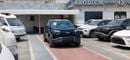 بي واي دي Leopard 3 TITANIUM 501km Range 2025YM