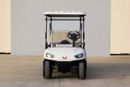 Wuling Mini EV 2021 Wuling Golf Cart 2 ST - White inside Brown | Export Price