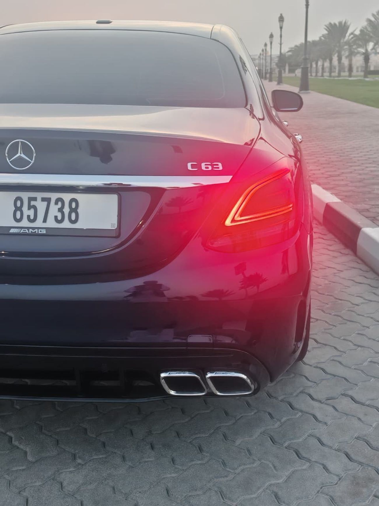 Mercedes-Benz C 300 Std 2.0L (258 HP)