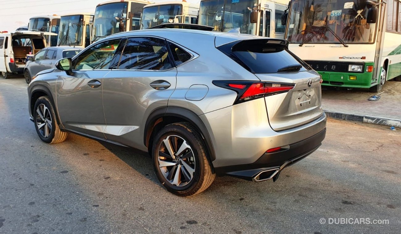 Lexus NX300 NX300 FULL OPTION 2019