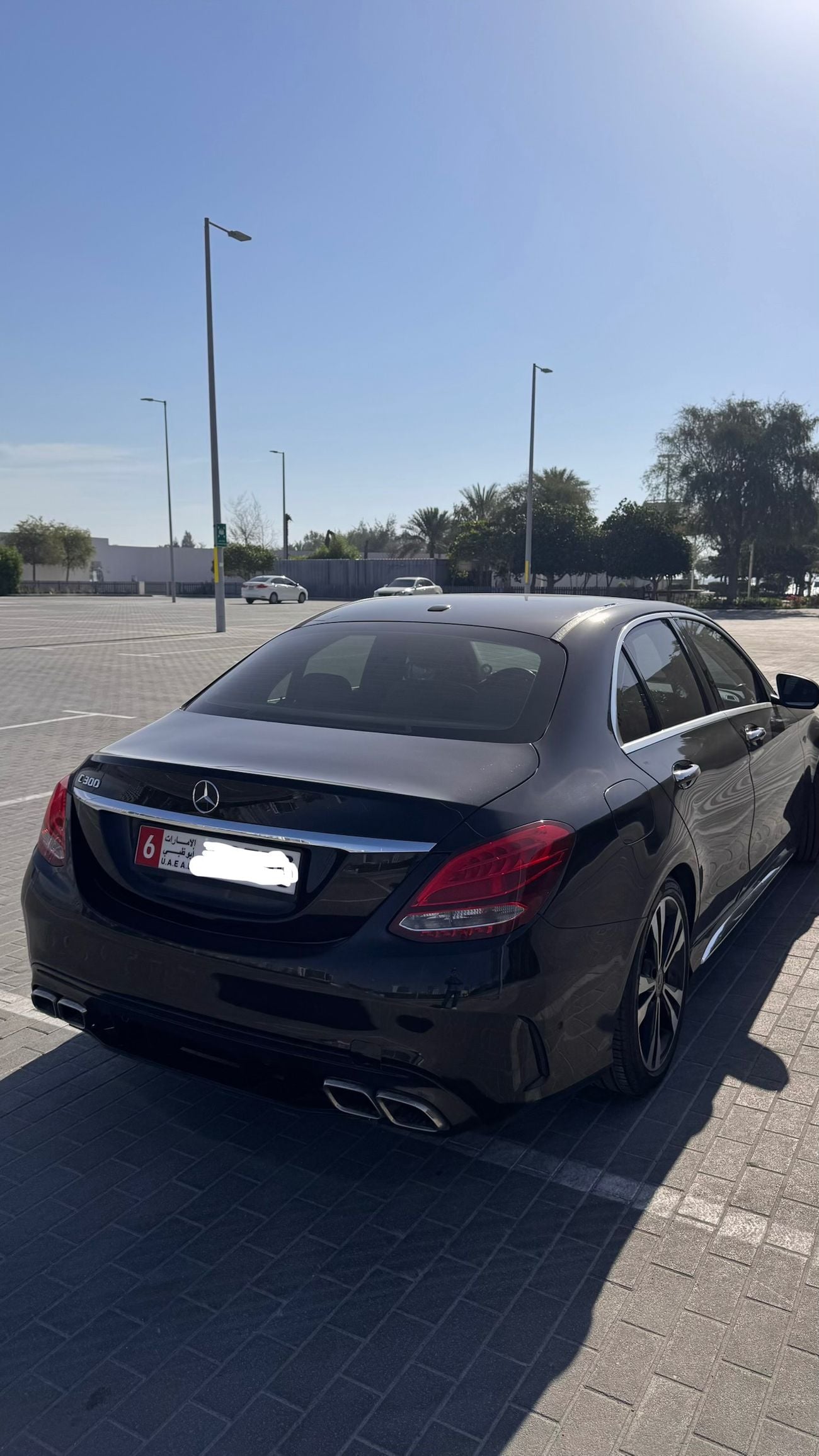 Mercedes Benz C300 STD