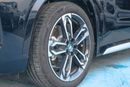 BMW iX1 2024 | BMW | IX1 | XDRIVE 30LX | DESIGN PACKAGE