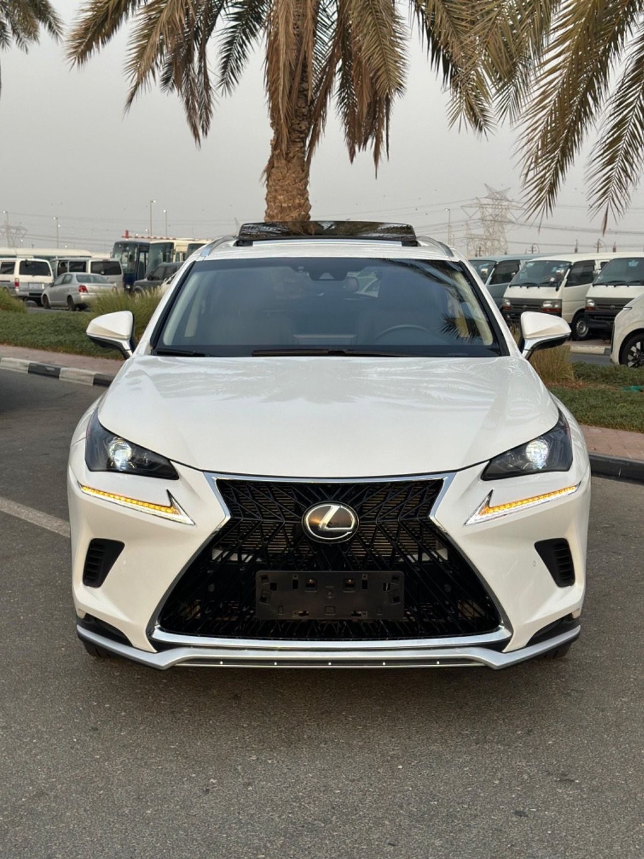 لكزس NX 300 LEXUS NX 300 2020