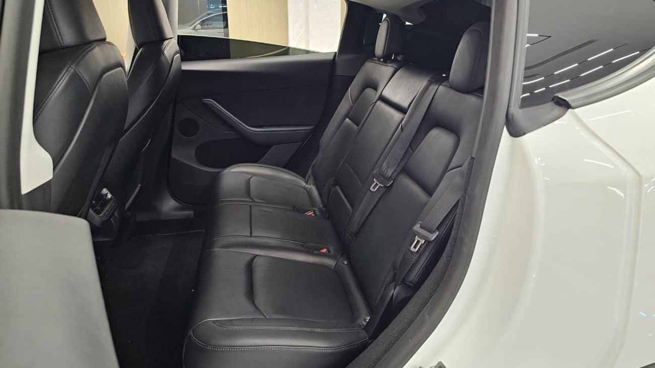 Tesla Model Y PERFORMANCE
