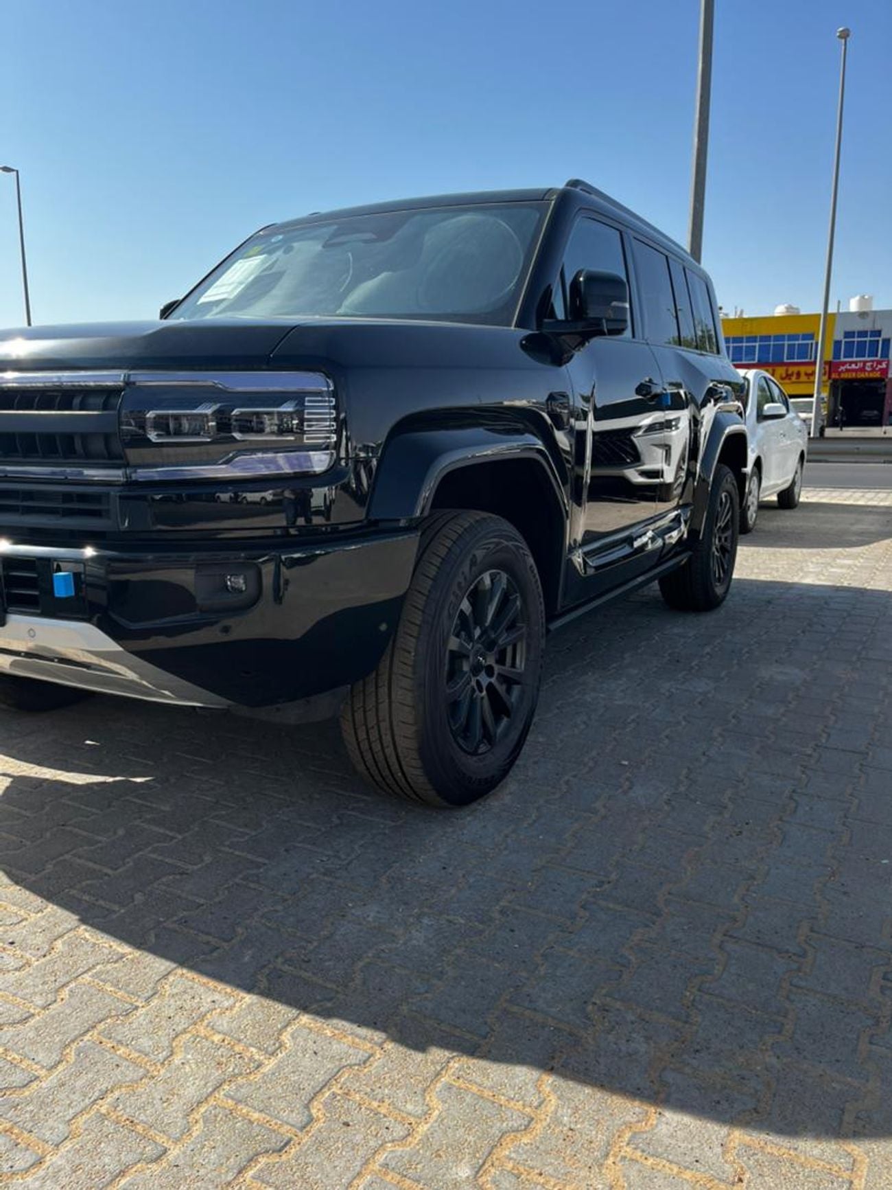 بي واي دي ليوبارد 5