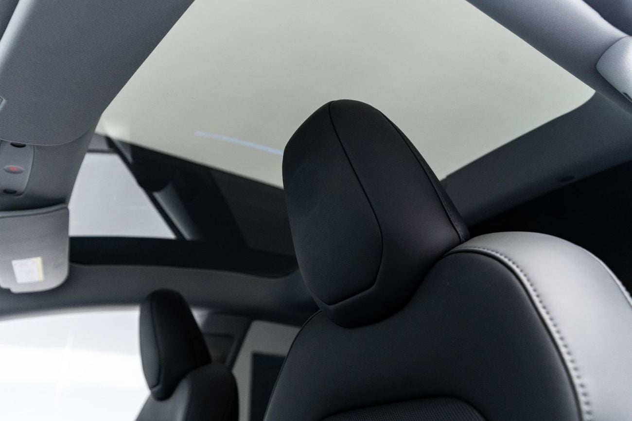 Tesla Model 3 LONG RANGE BUY NOW, PAY 2027 | THE BLACKLINE STANDARD | Tesla Warranty February 2028, GCC, Low KM's