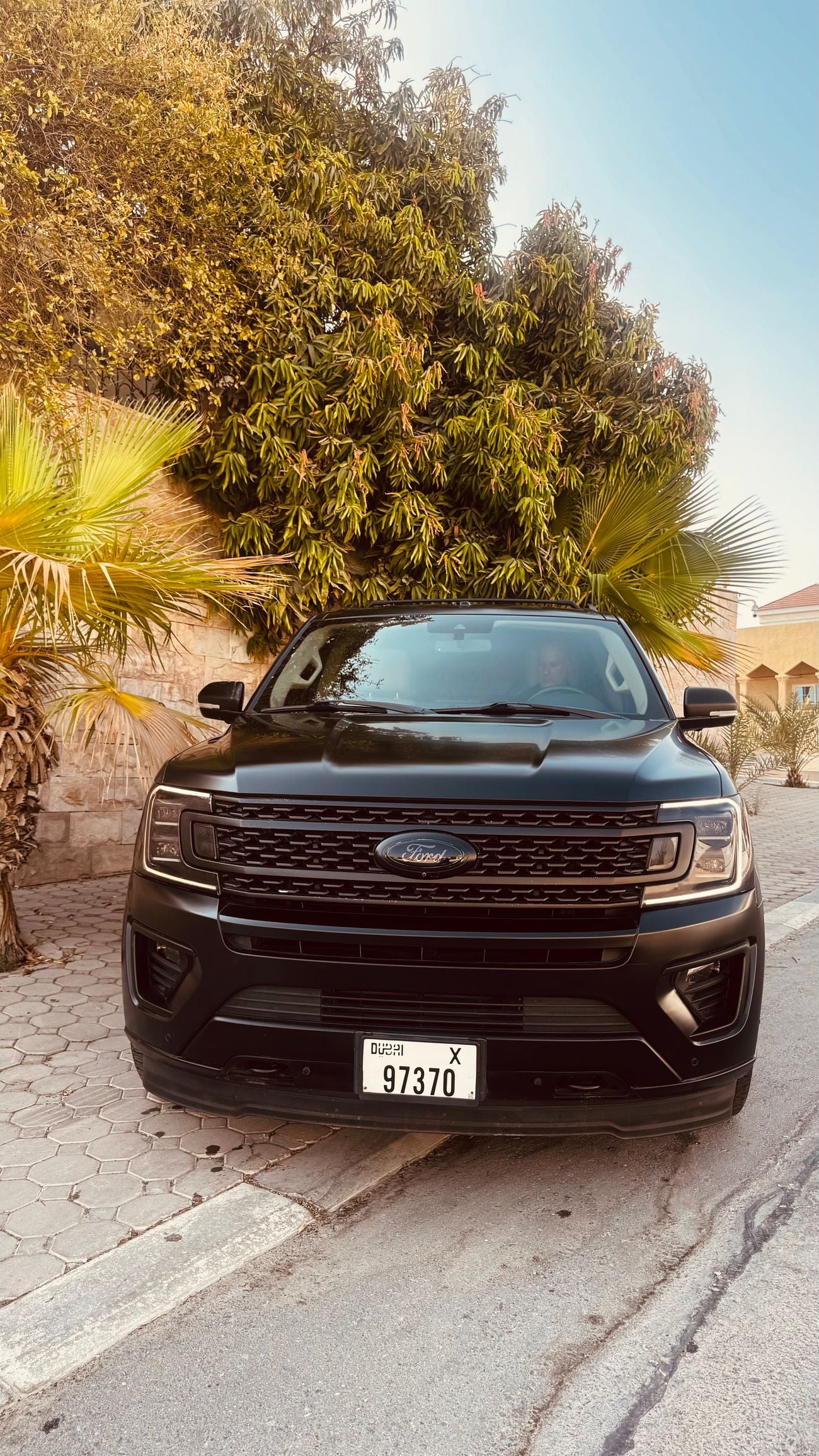 Ford Expedition PLATINUM