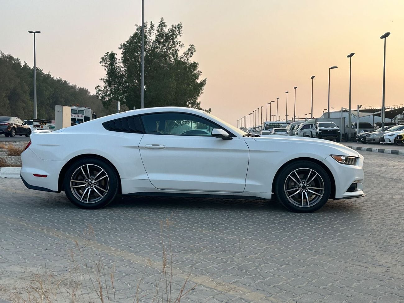 Ford Mustang PREMIUM