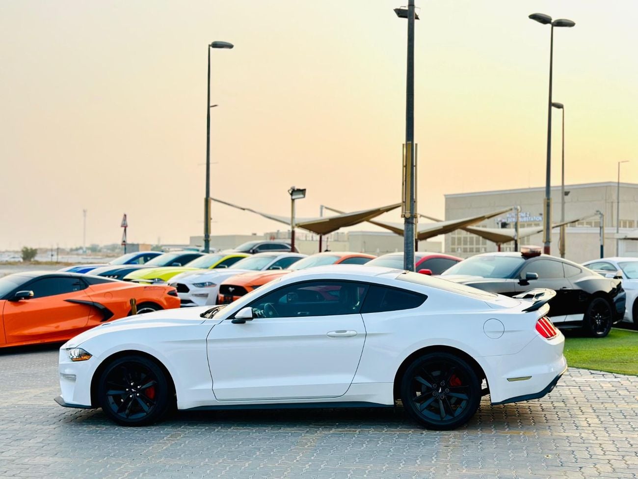 Ford Mustang STANDARD | Paddle Shifters | Fog Lights | Blindspot | # 88305