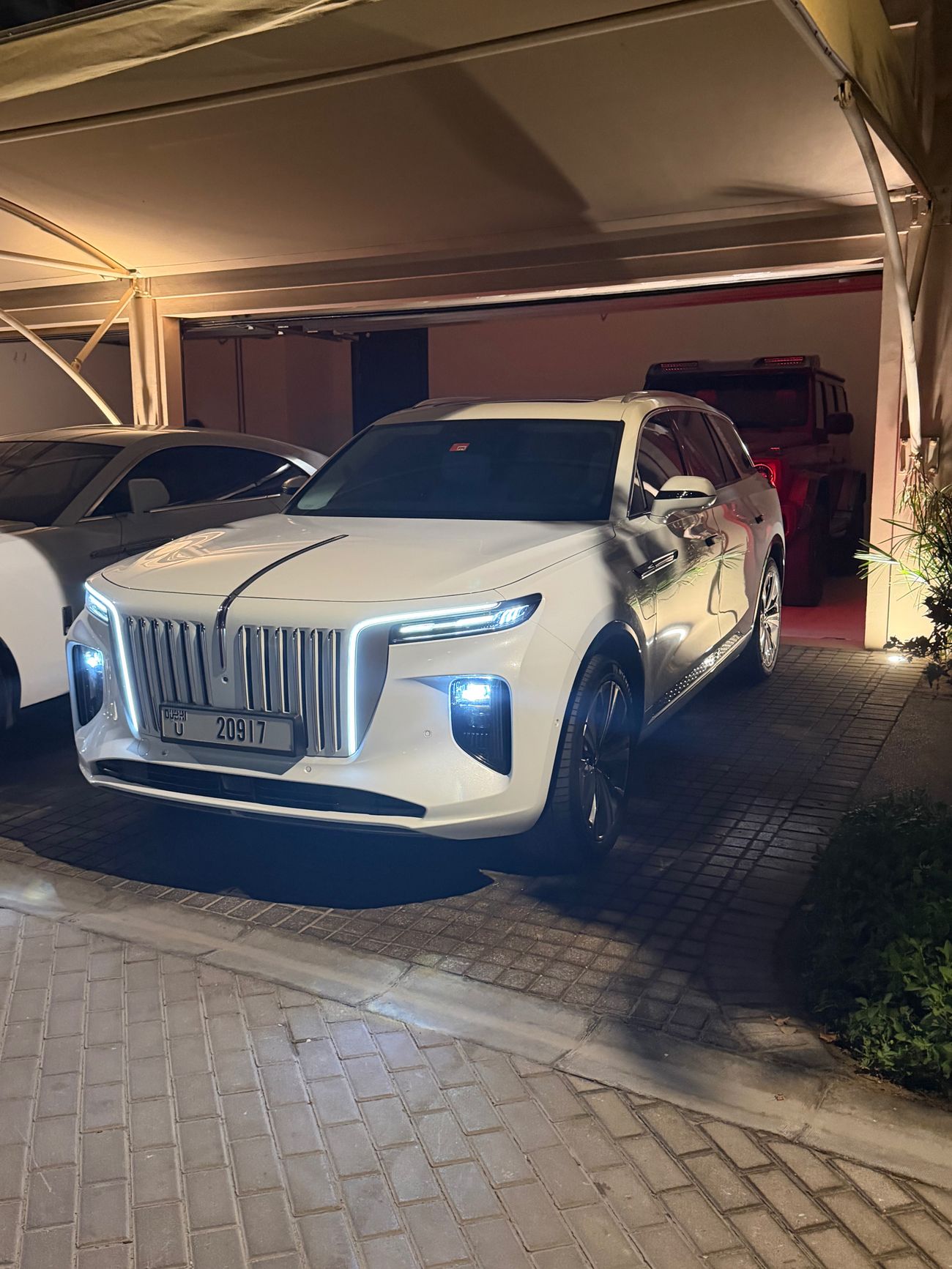 HONGQI EHS9 Executive