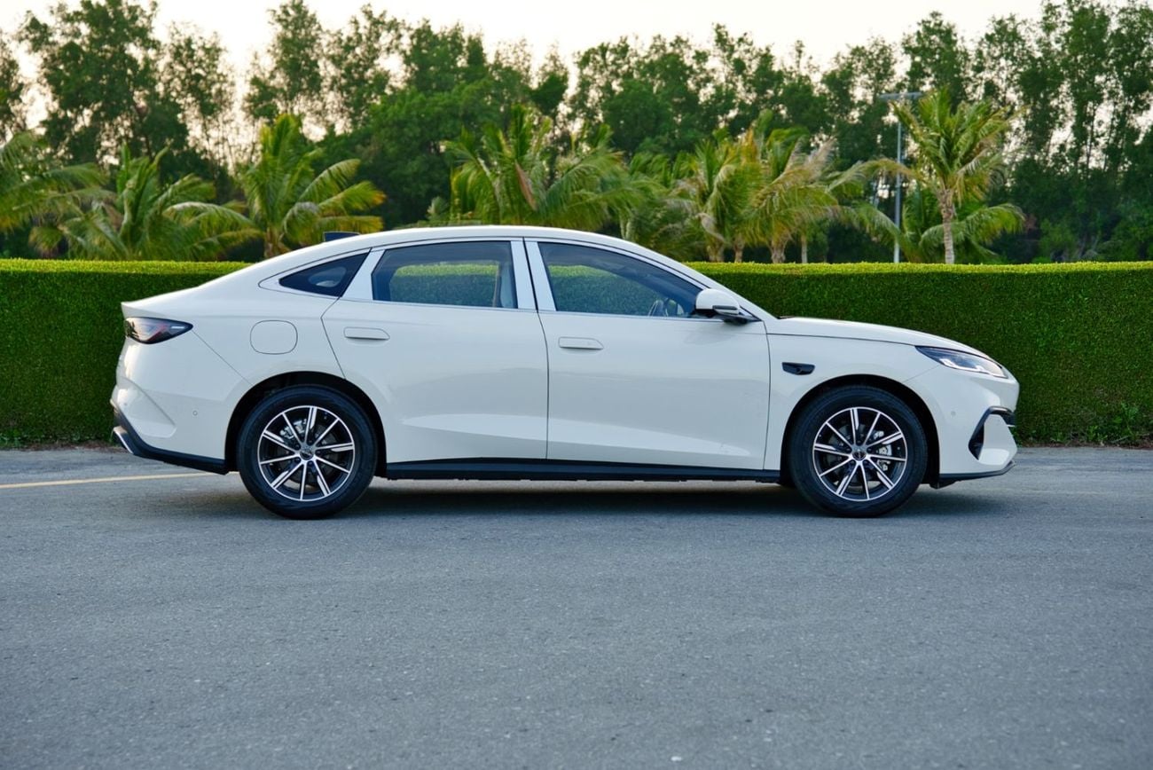 بي واي دي سيل 06 دي إم-آي