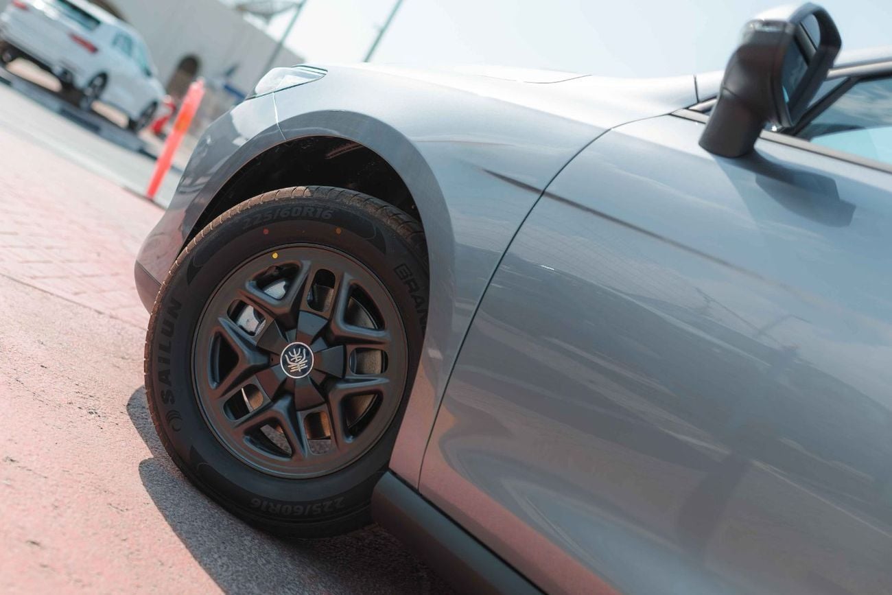 بي واي دي كين بلاس STD BYD Qin PLUS 2025 DM-i 55 km 2025 (Grey) FOR EXPORT