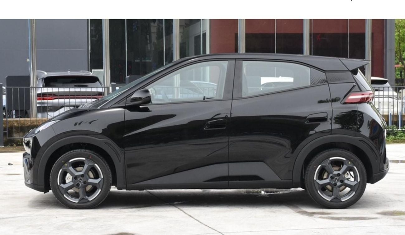 بي واي دي سيجول BYD SEAGULL- 2024 | FULL OPTION - FLYING EDITION | 405KM