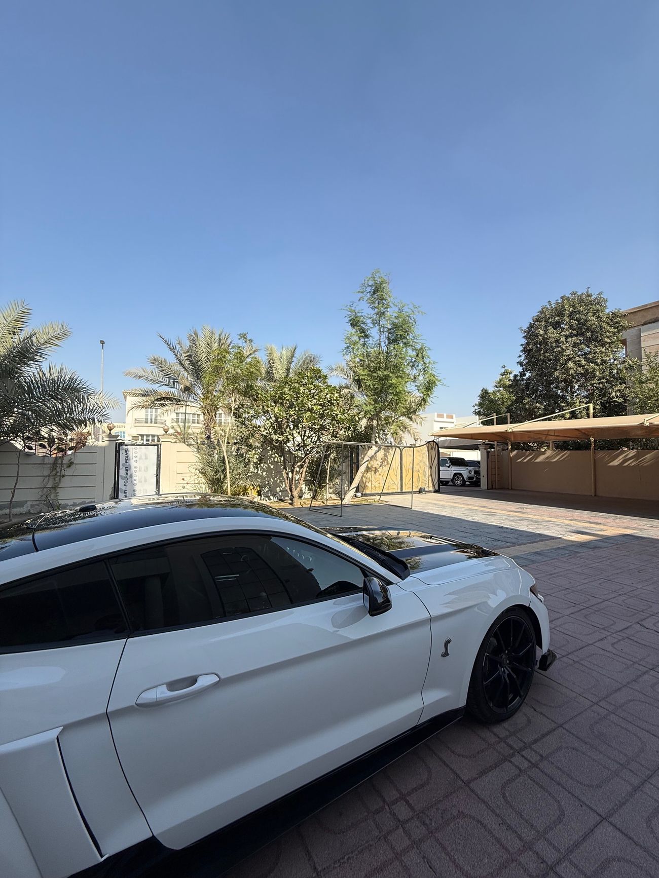 Ford Mustang Mustang GT 5.0 manual