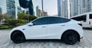 Tesla Model Y PERFORMANCE