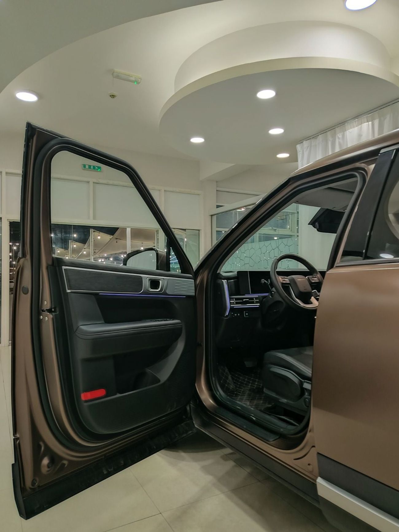 Hyundai Santa Fe Hyundai santafe calligraphy 2024 China specs