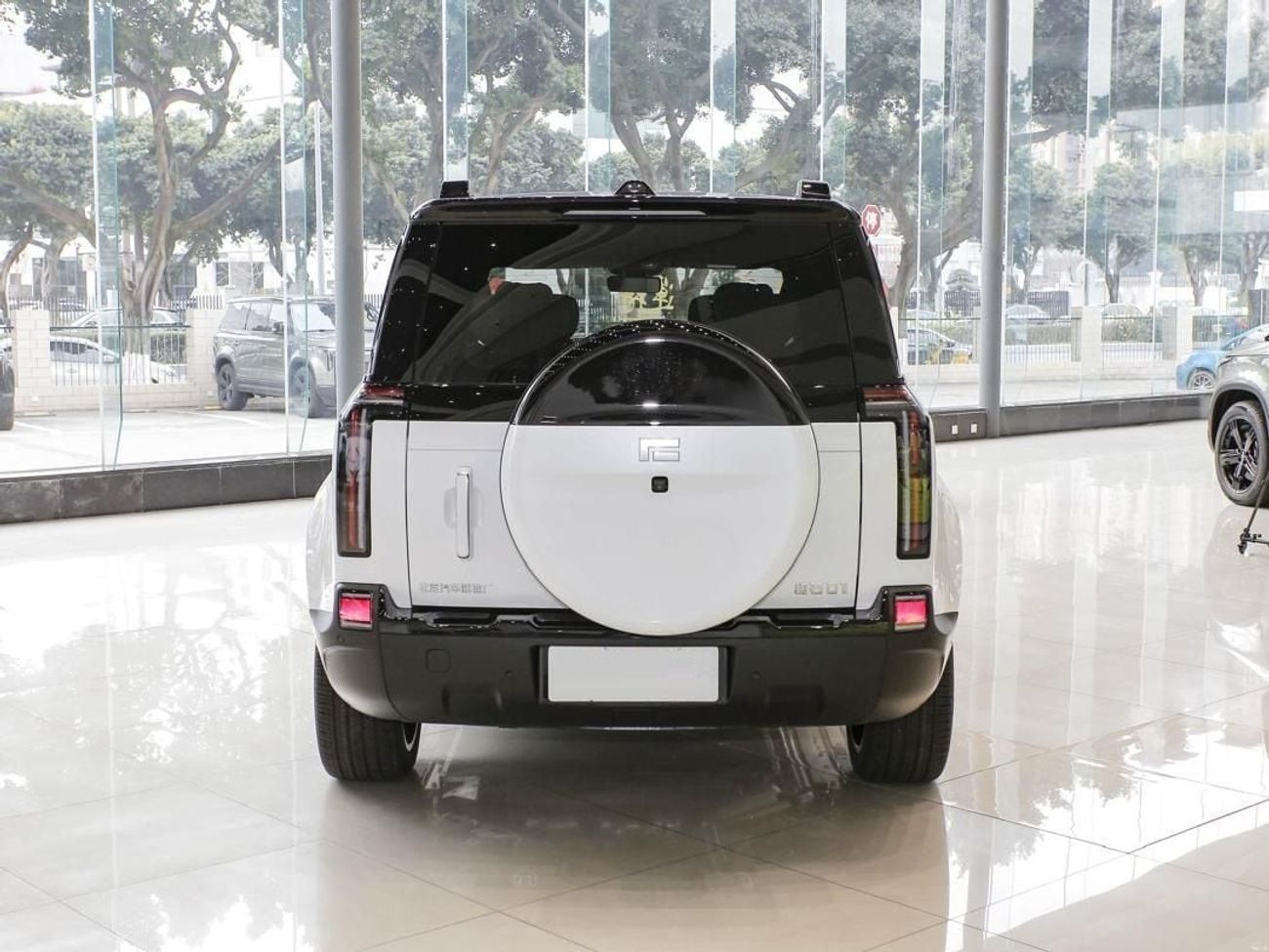 ROX 01 Long Range VIP 6 Seats VIP