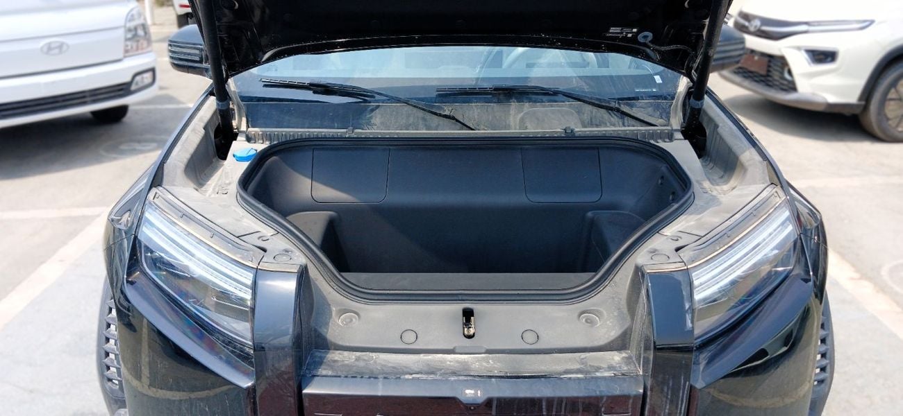 بي واي دي Leopard 3 TITANIUM 501km Range 2025YM