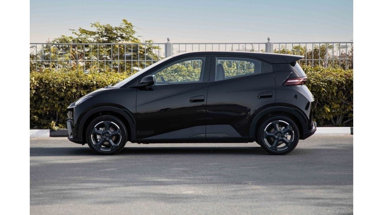 BYD Seagull 2024 BYD Seagull - Black inside Blue | Export Only