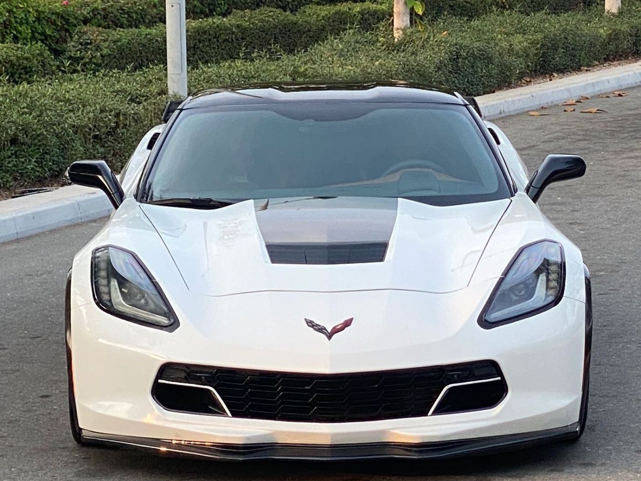 Chevrolet Corvette Z51 Competition SEats