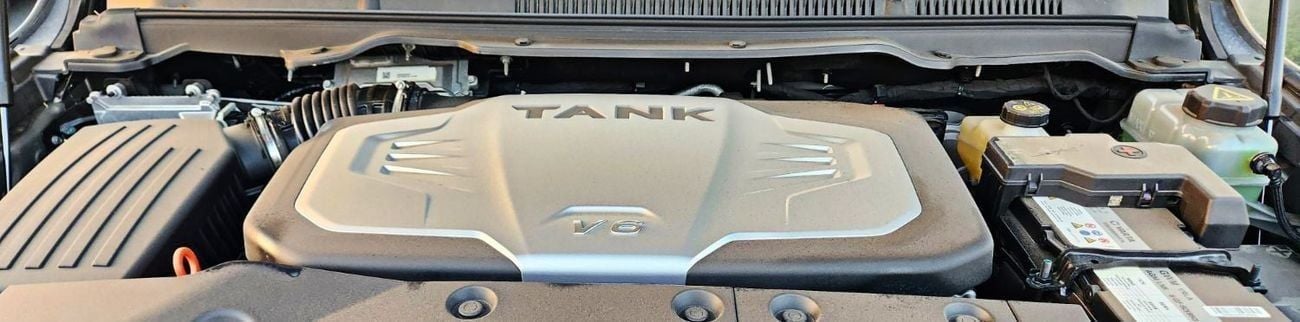 Tank 500 Prestige 3.0T
