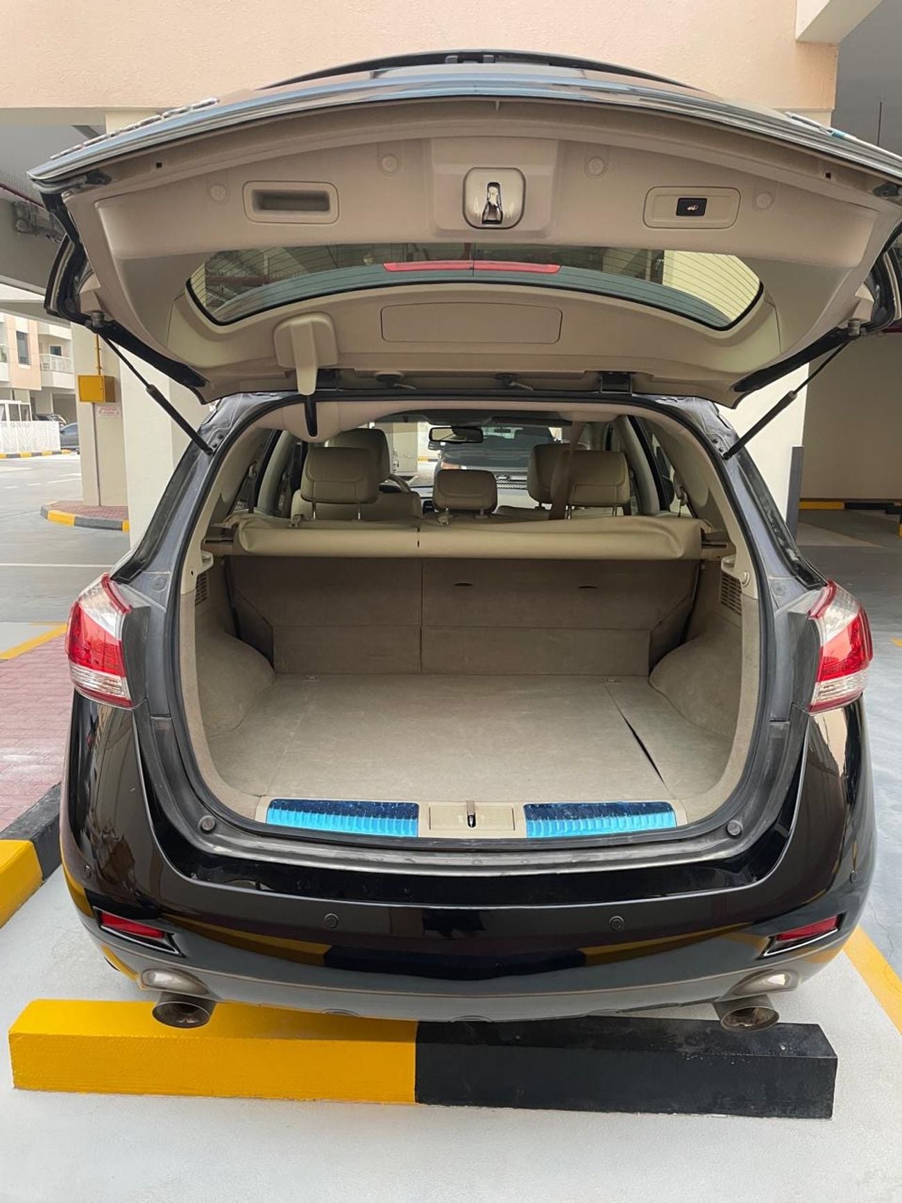 Nissan Murano LE