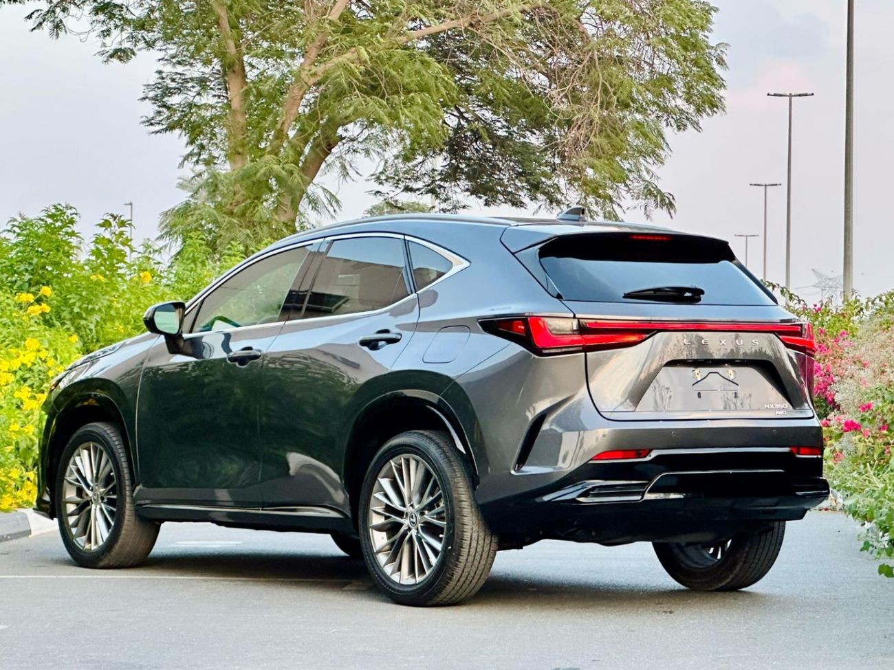 Lexus NX350 Luxury AWD Full Option
