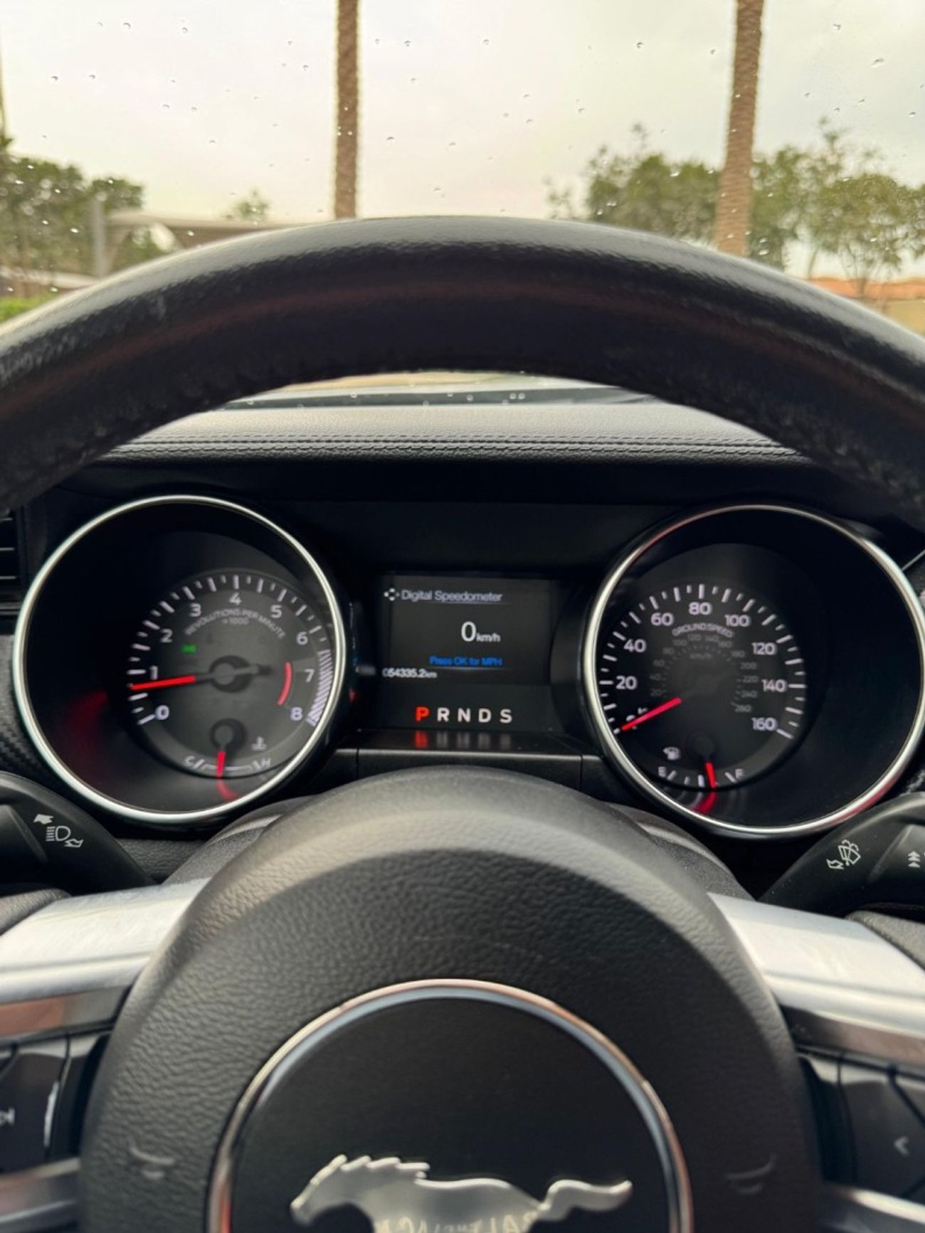 Ford Mustang Ford Mustang EcoBoost / 2.3L Turbo / USA /2021 / Only 55,000Mi