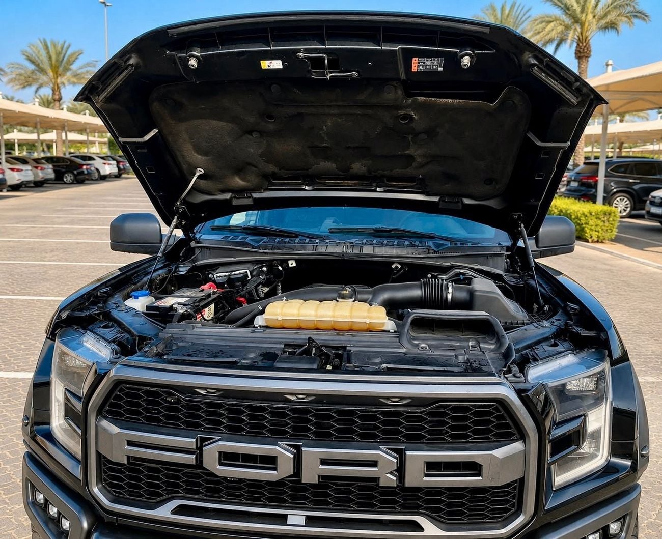 فورد F 150