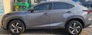 Lexus NX300 F Sport 2.0L