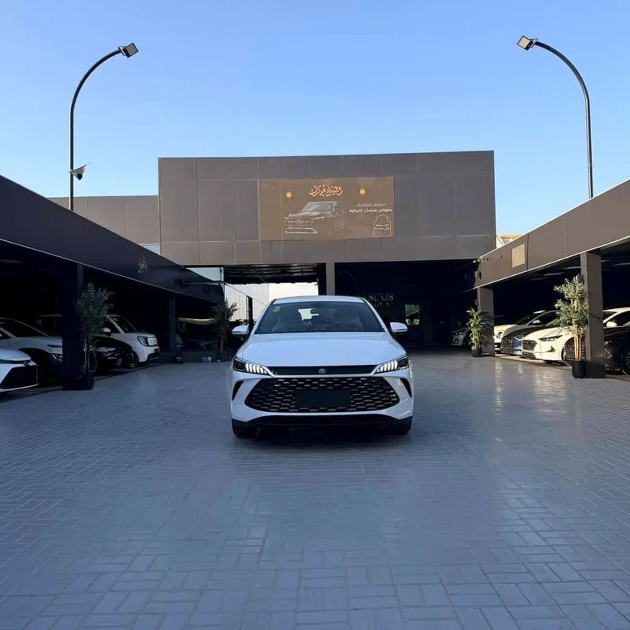 BYD QIN PLUS DM-i Honor Edition - Chinese Specs - Brand