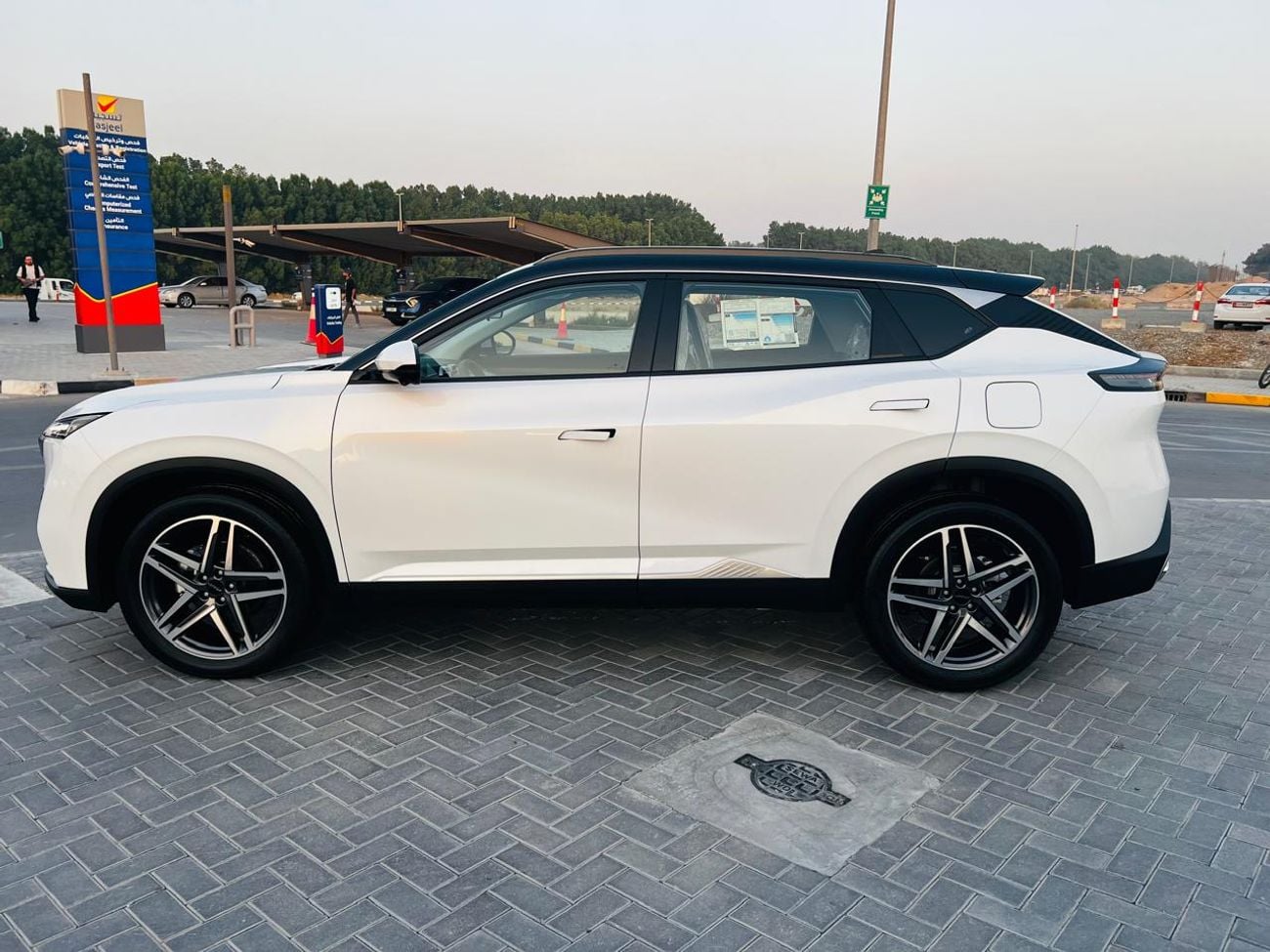 Dongfeng Mage