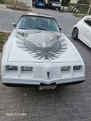 Pontiac Trans Am PACE CAR 301-4V 4.9L TURBO V8 | 1980 | Perfect Condition