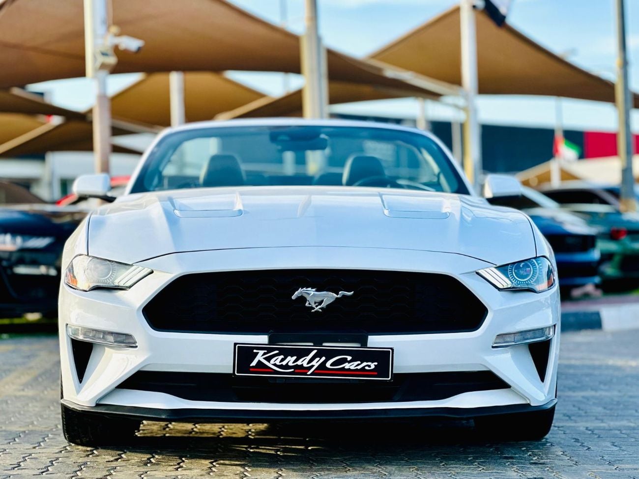 Ford Mustang STD Ecoboost | Monthly 1400/- | 0% DP | Fog Lights | Original Airbags | # 05457