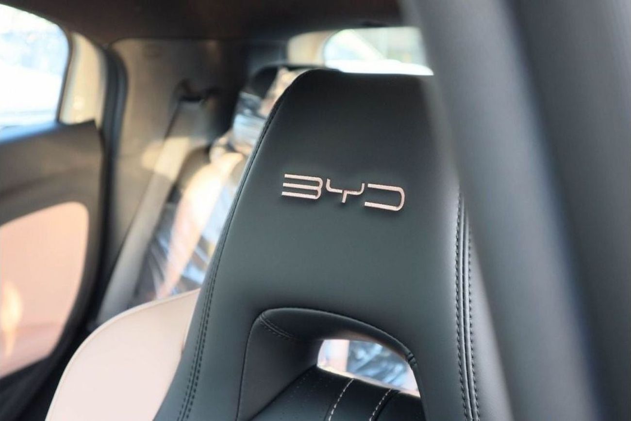 BYD Seagull BYD seagull 2025 model 405km rang