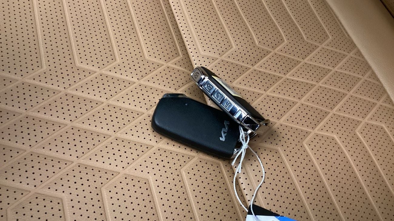 Kia Sonet EX FOP | Guaranteed Warranty | 0 Down Payment