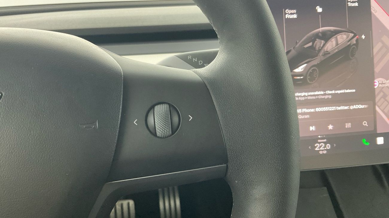 Tesla Model 3 Performance (Dual Motor) | Guaranteed Warranty | 0 Down Payment