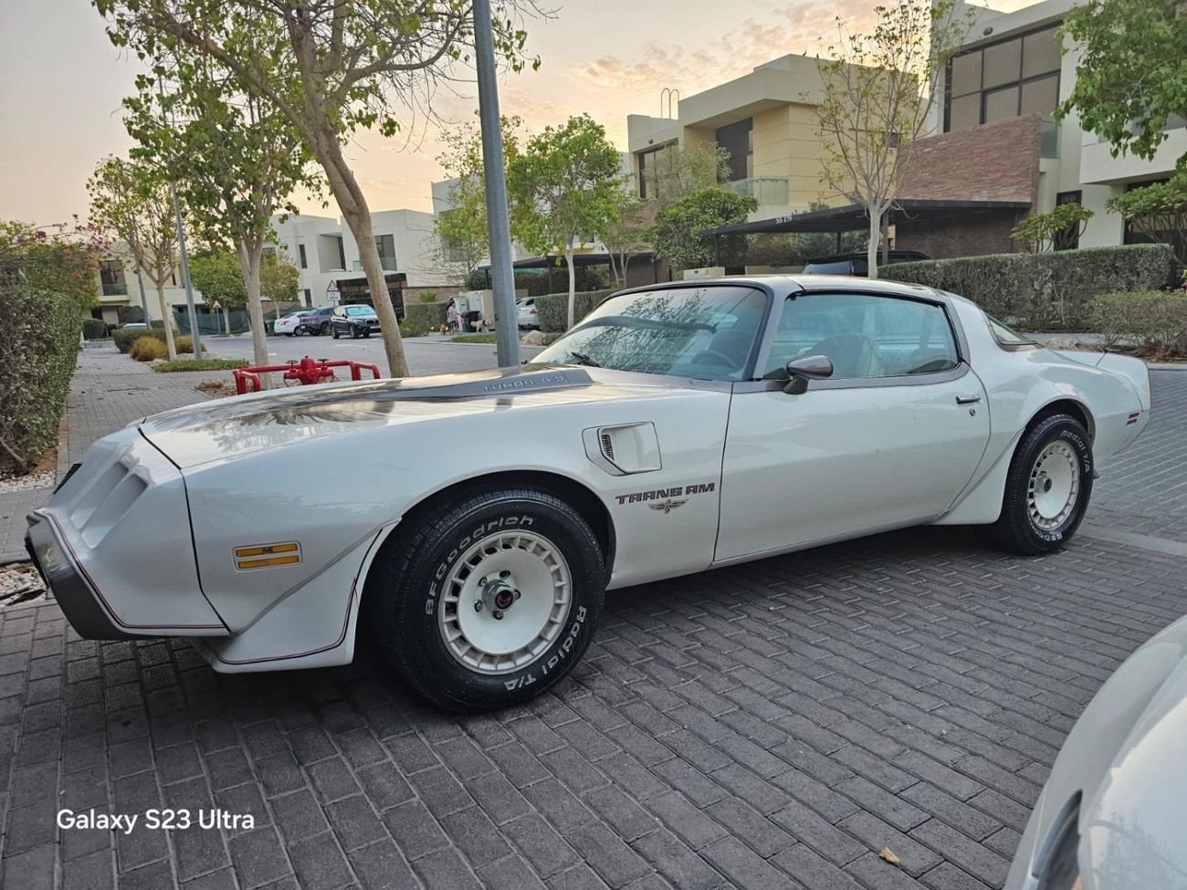 Pontiac Trans Am PACE CAR 301-4V 4.9L TURBO V8 | 1980 | Perfect Condition
