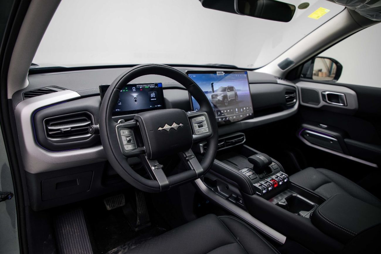 BYD Leopard Titanium 3 ID Ultra - Silver Inside Black | Export Only