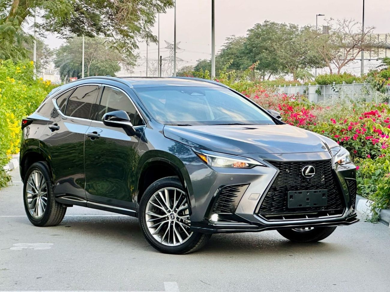 Lexus NX350 Luxury AWD Full Option