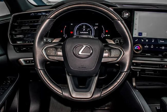 Lexus RX Platinum, миниатюра 22