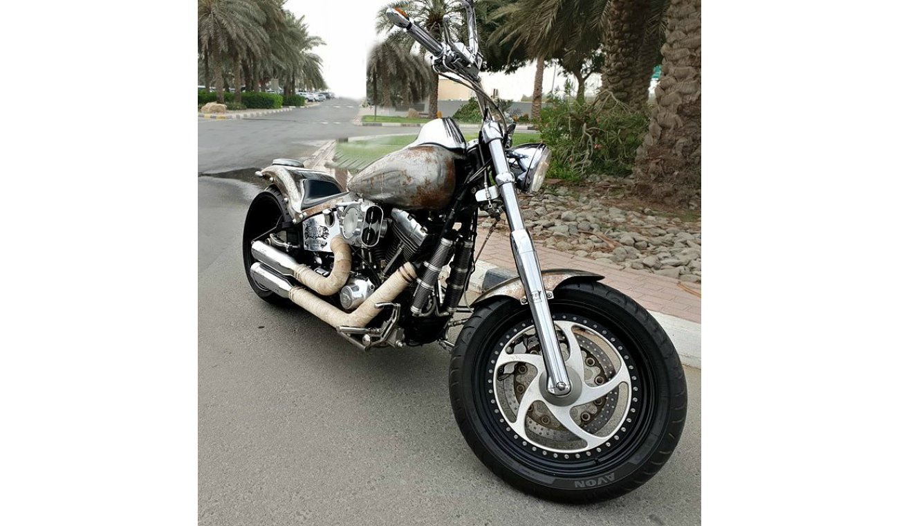 Harley-Davidson Softail HARLEY DAVIDSON - 2001 - SOFT TAIL - CUSTOMIZED BY TBC CYCLES -