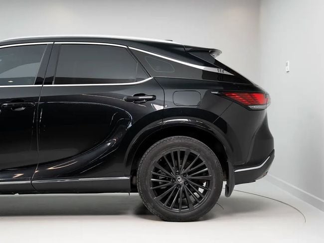 Lexus RX F-SPORT, миниатюра 20
