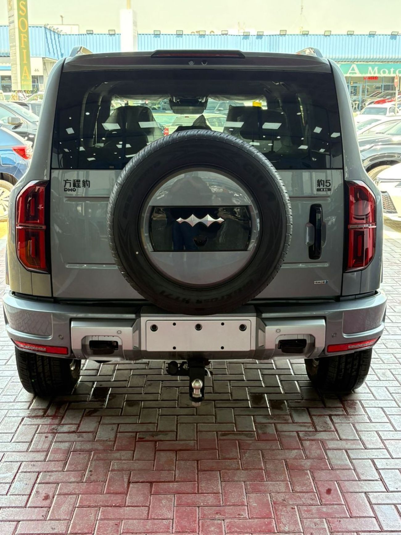 بي واي دي ليوبارد 5