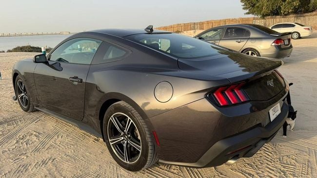 Ford Mustang STANDARD, миниатюра 12