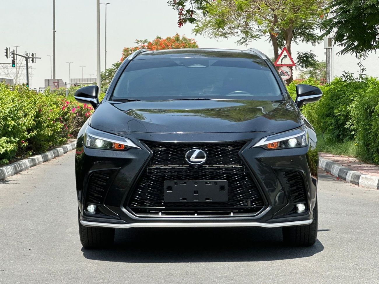Lexus NX350h Platinum 2.5L