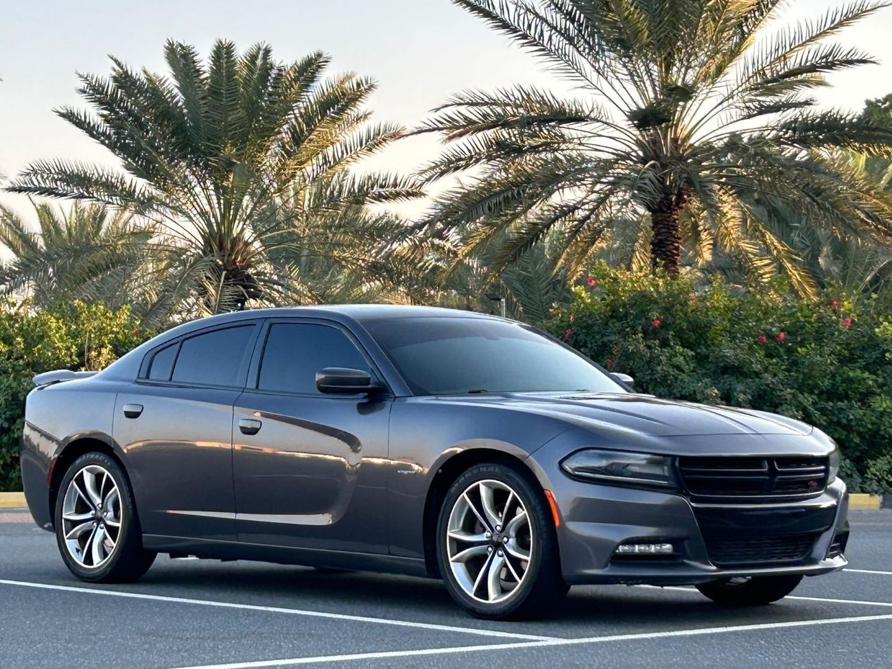 Dodge Charger R/T Road Track DODGE CHARGER R/T 2016 GCC V8 // ORGINAL PAINT // ACCIDENT FREE // PERFECT CONDITION